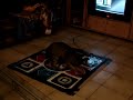 Dancing Mat Cat Dancing Mat Cat