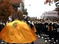 brass council vs the dizziacs