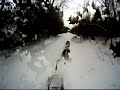Chiens de traîneau - Sled dog mushing - 3 février 2012