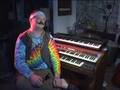 Dog Documentary by Josh McCutchen