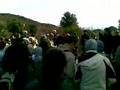 Rossinyol-al-coll-de