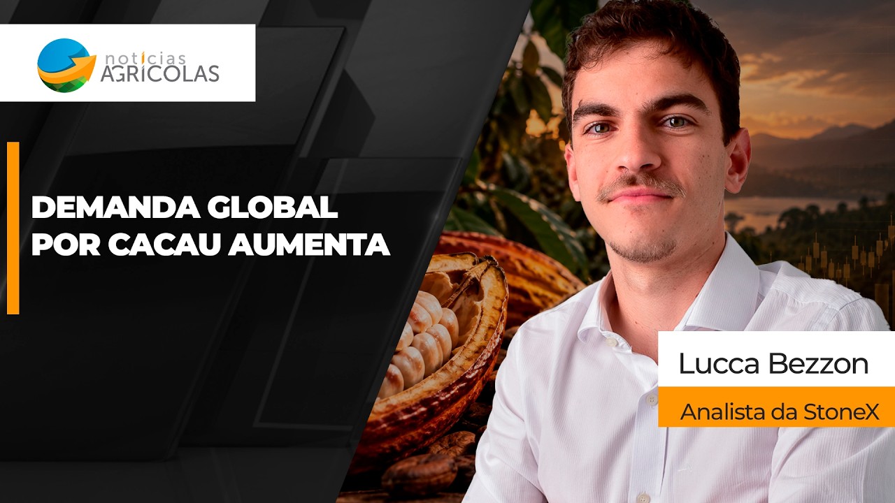 Demanda global por cacau dá sinais de recuperação e cotações sobem