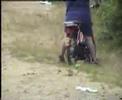 Motorradtalent