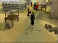 Runescapes Prince Chapter 1 the Beggining
