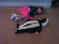 Kiyomi skunk