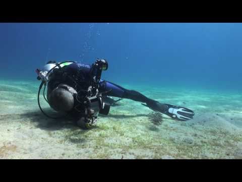 underwater photographer - Video clips used by Martin Edge in the presentation with Alex Mustard at Imperial College, London on 6th Nov 2010 on getting good backgrounds and other techn...