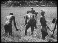 Peaceful Sri Lanka (Ceylon) in 1948