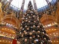 Galeries Lafayette Paris ( C'est déjà Noel ! )