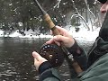 More Centerpin Steelhead