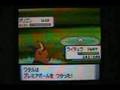 ポケトレで色違いGET!(5)ポリゴン
