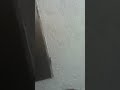 Click here to watch this video Otis Elevator At Willow Grove Mall Parking Garage