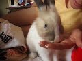 Zo� dans le lit avec gobelets 1