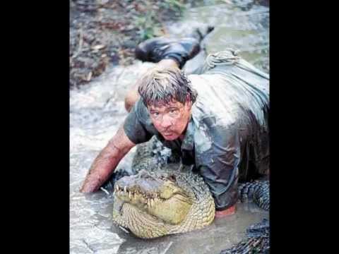 how to like something on pinterest