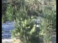 Üks-ühele võistlus orienteerumises (kevad 2008) osa 1/3