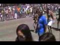 Toronto Caribana Parade (1)