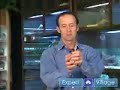 How to Care for Exotic Pets : Propagating Worms as Food for Exotic Pets