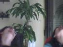 efecto aburrimiento!! (recopilatorio)