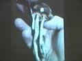 Paul Stamets - 1999 Psychoactivity Conference in Amsterdam