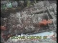 KING CRAB FISHING 1999 TANKS STUFFED DEADLIEST CATCH