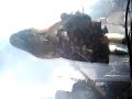 Est�dio Coca - Cola @ Pitty - Brinquedo torto!