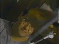 Mike Pachelli Group - \"Good Days Rain\" Mike Pachelli Group - \"Good Days Rain\"
