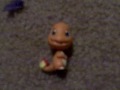 Charmander torcher