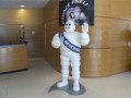 French tyre maker Michelin said on Wednesday it would shed 1093 workers because of crisis in the global auto industry but stressed this would be done 