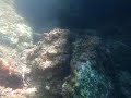 Duke gjuajtur qefullin, Saranda