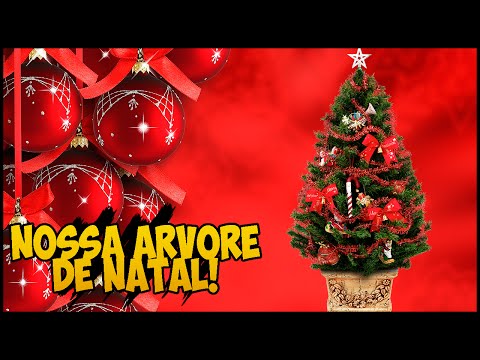 Nossa primeira arvore de NATAL!