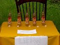 Dancing Birds FUNNY! Drinking Contest! Lipton Tea Contest