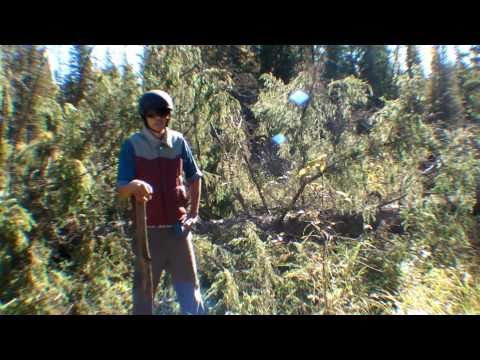 Canadian Mountain Biking