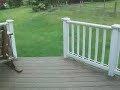Backyard Roller Coaster Update #1 Here Is The First Update On My (Pretty Much) Long Awaited Backyard Coaster! Now I Have To Admit This Video Is A Little Weird Coming From The Fact That I Trie...