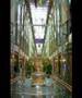 Royal Caribbean - Navigator of the seas