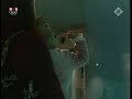 Belugas Blow Bubbles Belugas Blow Bubbles