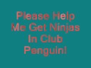 Club Penguin Ninjas