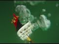 Model Titanic Sinks (w/ underwater footage)