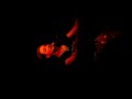 Rachael Sage at The Green Note, London 3