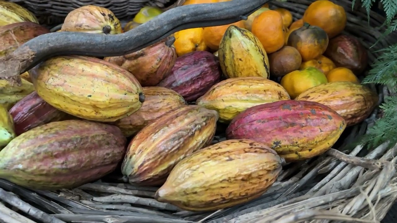 Excesso de oferta derruba os preços da batata  | Giro de Notícias