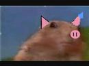 dramatic piggy