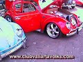 GUAYABITOS 2008
