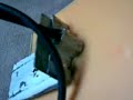 Antena Biquad wifi 2,45 Ghz By Electrik