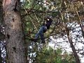 Il bradipo volante