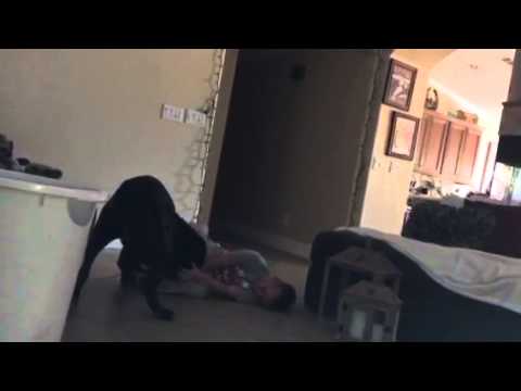 Storm playing with children