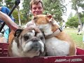 Bulldogs get blessed at Interfaith Blessing of the Animals