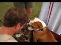 Bulldogs get blessed at Interfaith Blessing of the Animals