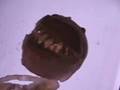 Alien UFO crash remains PT.2