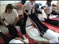 Nekko Shiatsu, Curso de Shiatsu Básico