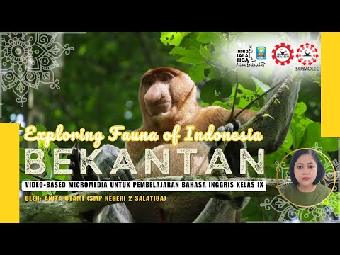 Exploring the Fauna of Indonesia: Bekantan