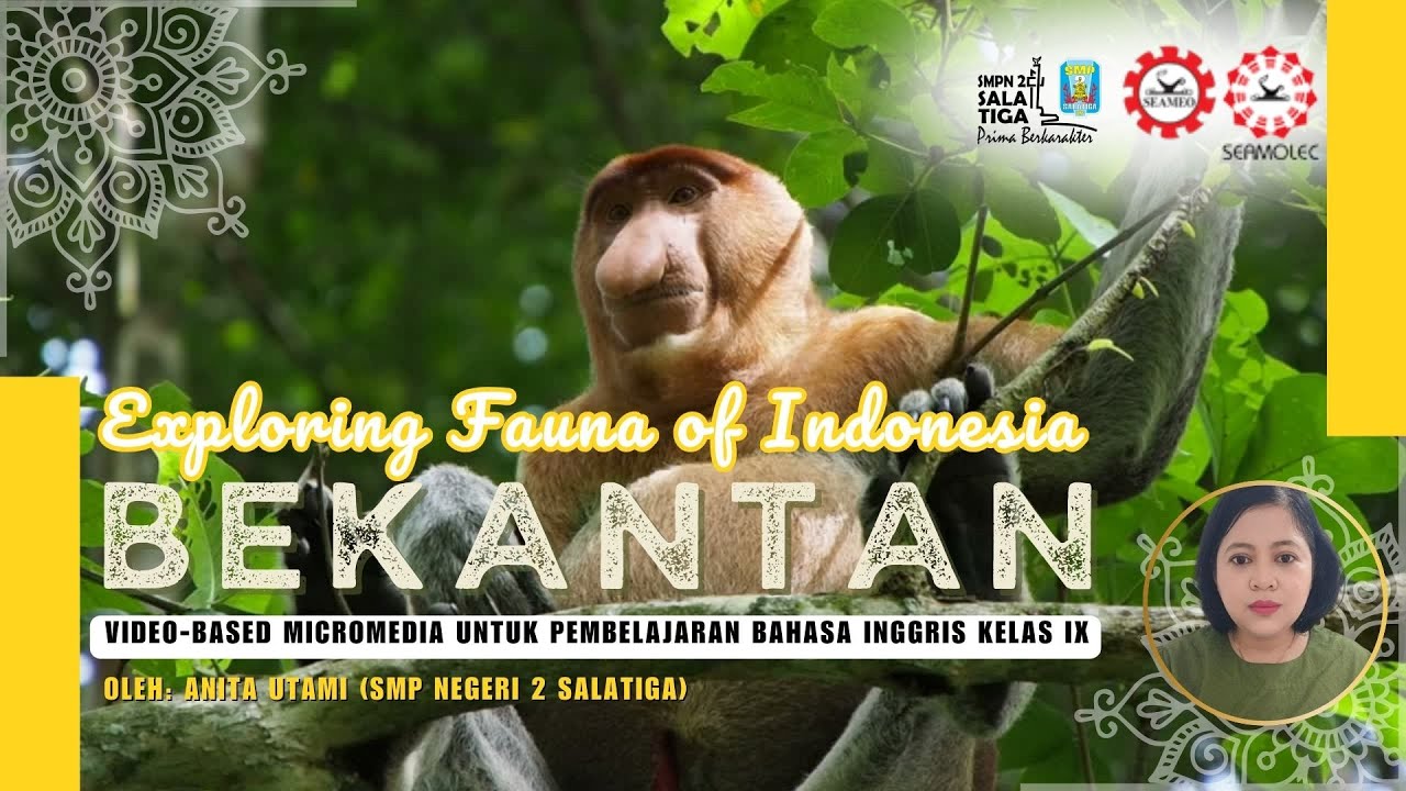 Exploring the Fauna of Indonesia: Bekantan