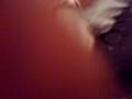 videos de salt in the wound.mov